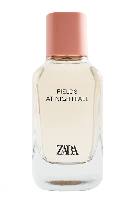 Zara Fields at Nightfall — dupe of Zadig & Voltaire This Is Her!