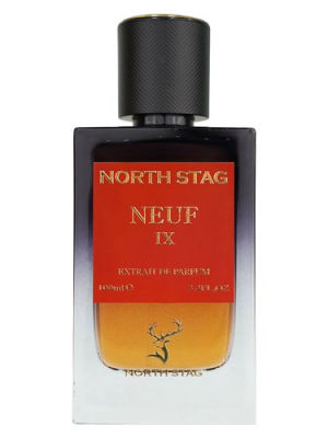 Paris Corner North Stag Neuf IX — dupe of Maison Francis Kurkdjian Grand Soir