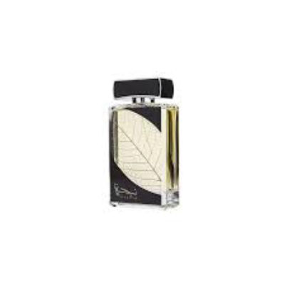 Superdrug Najdia Silver — dupe of Paco Rabanne Invictus Aqua