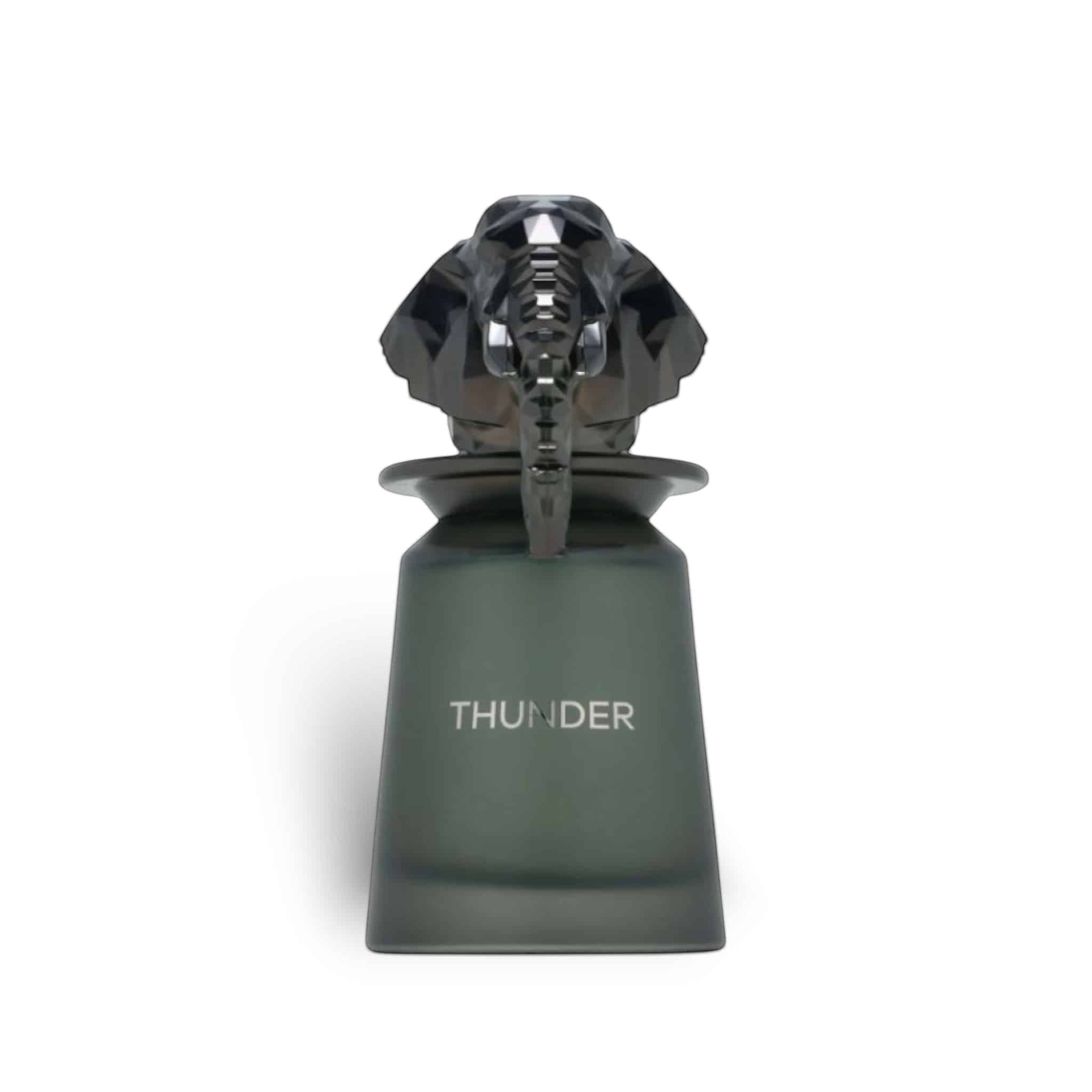 French Avenue Thunder Extrait — dupe of Penhaligon's The Omniscient Mr Thompson