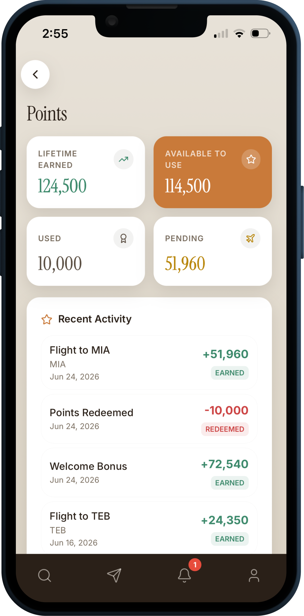 The Luxury Aircraft app on a phone, showing points balances and recent activity.