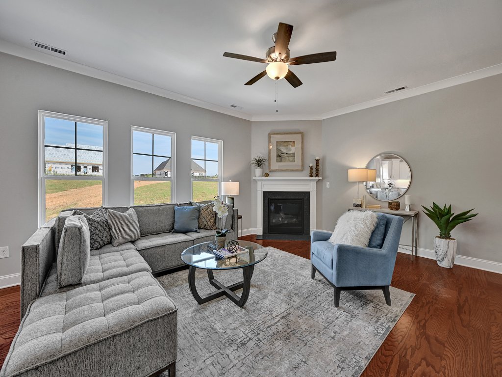Living room fireplace