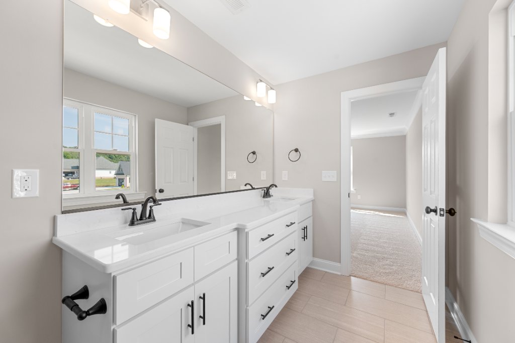 Primary bathroom vanity