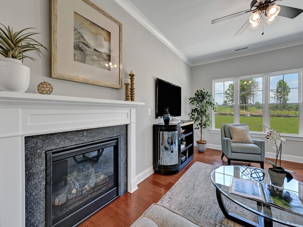 Fireplace detail