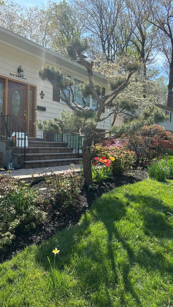 Lawn care and landscaping project completed by Max's team