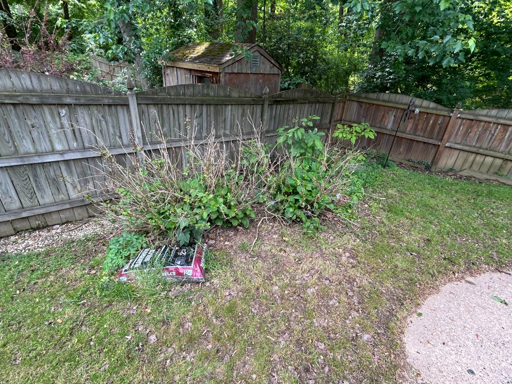 Garden bed before mulching and lawn care in Northern Virginia