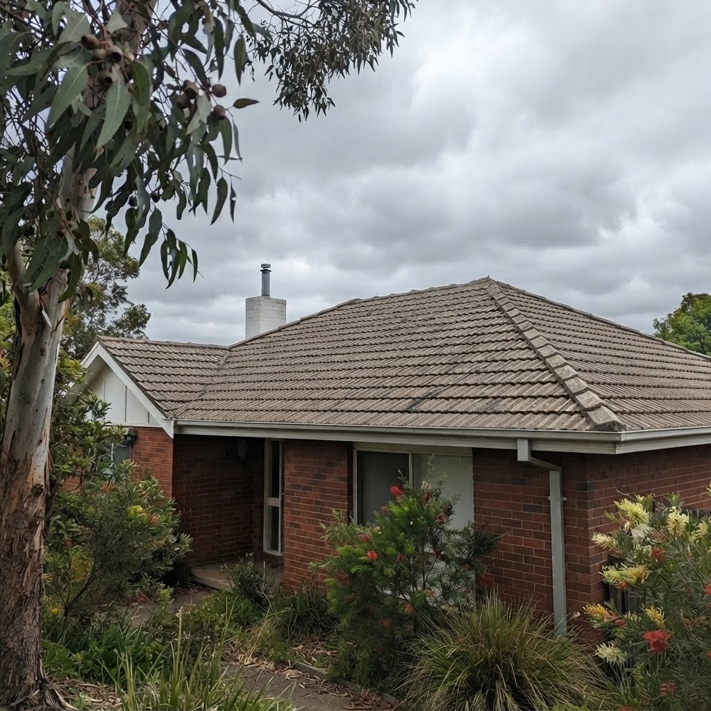 Roof after cleaning