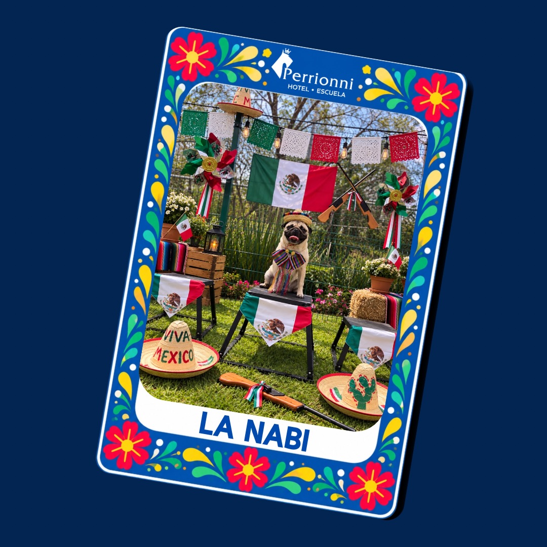 Carta LA NABI — Lotería Perrionni