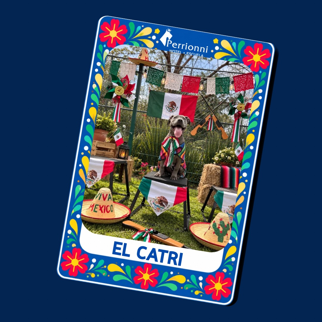 Carta EL CATRI — Lotería Perrionni