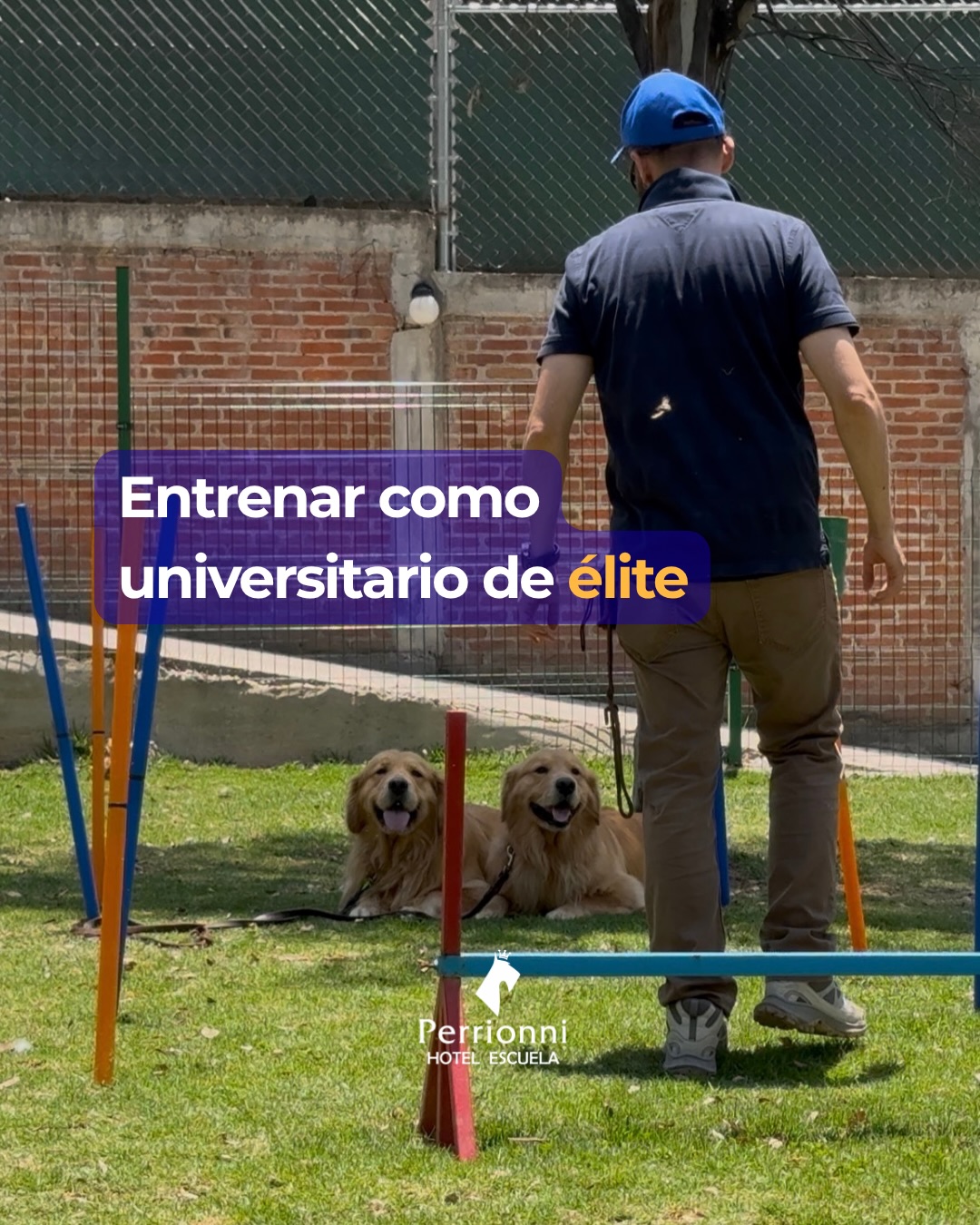 Entrenar como universitario de élite