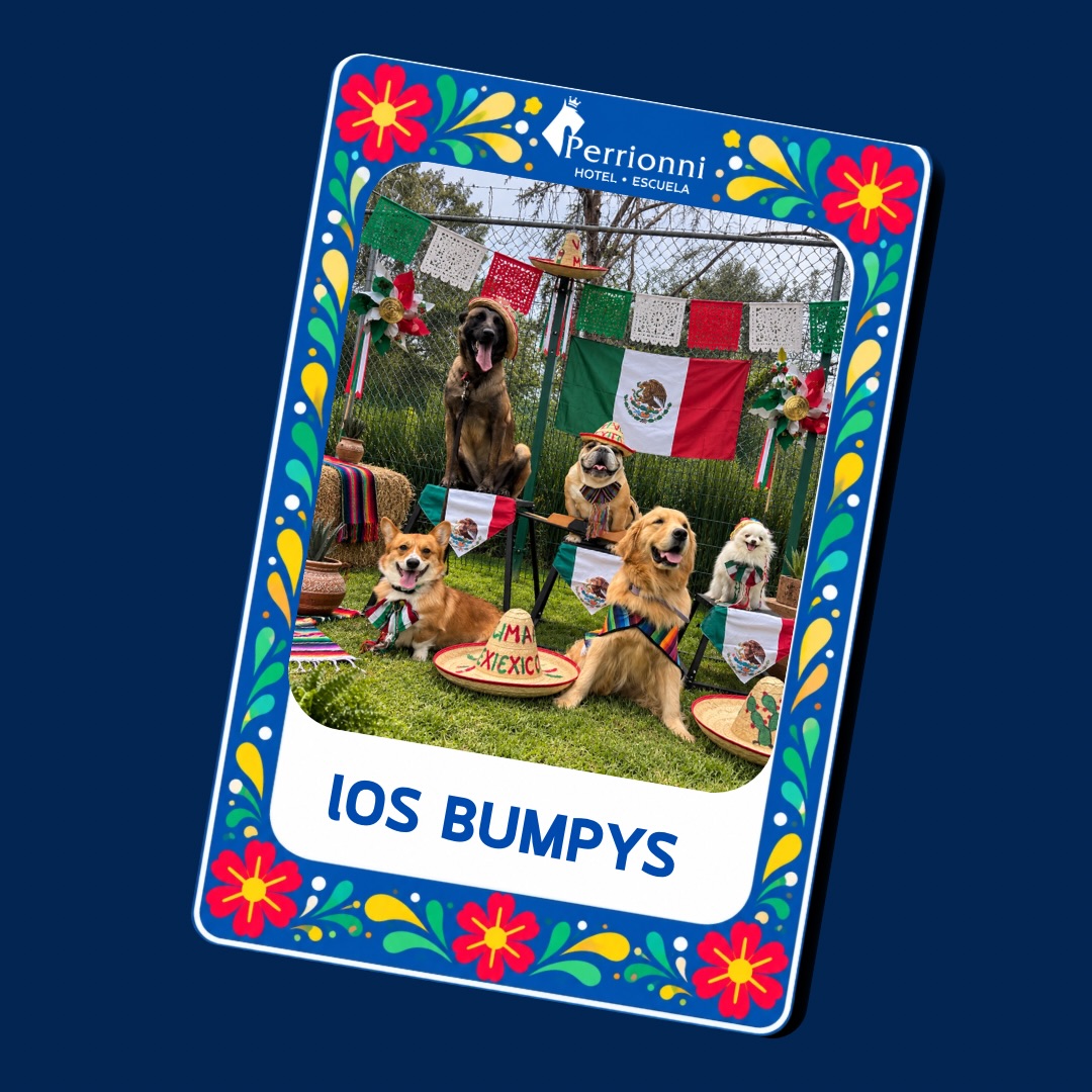 Carta LOS BUMPYS — Lotería Perrionni