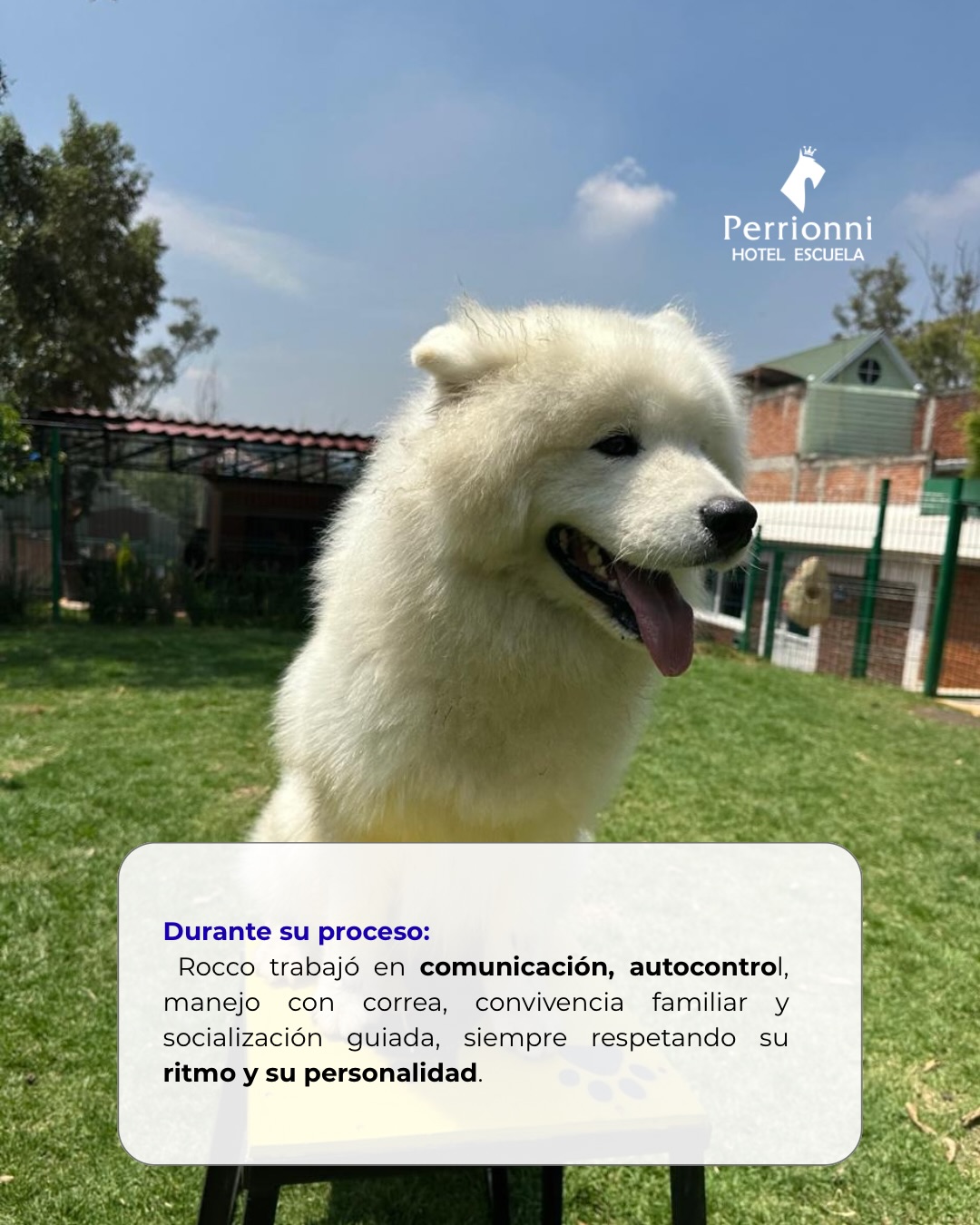 Durante su proceso