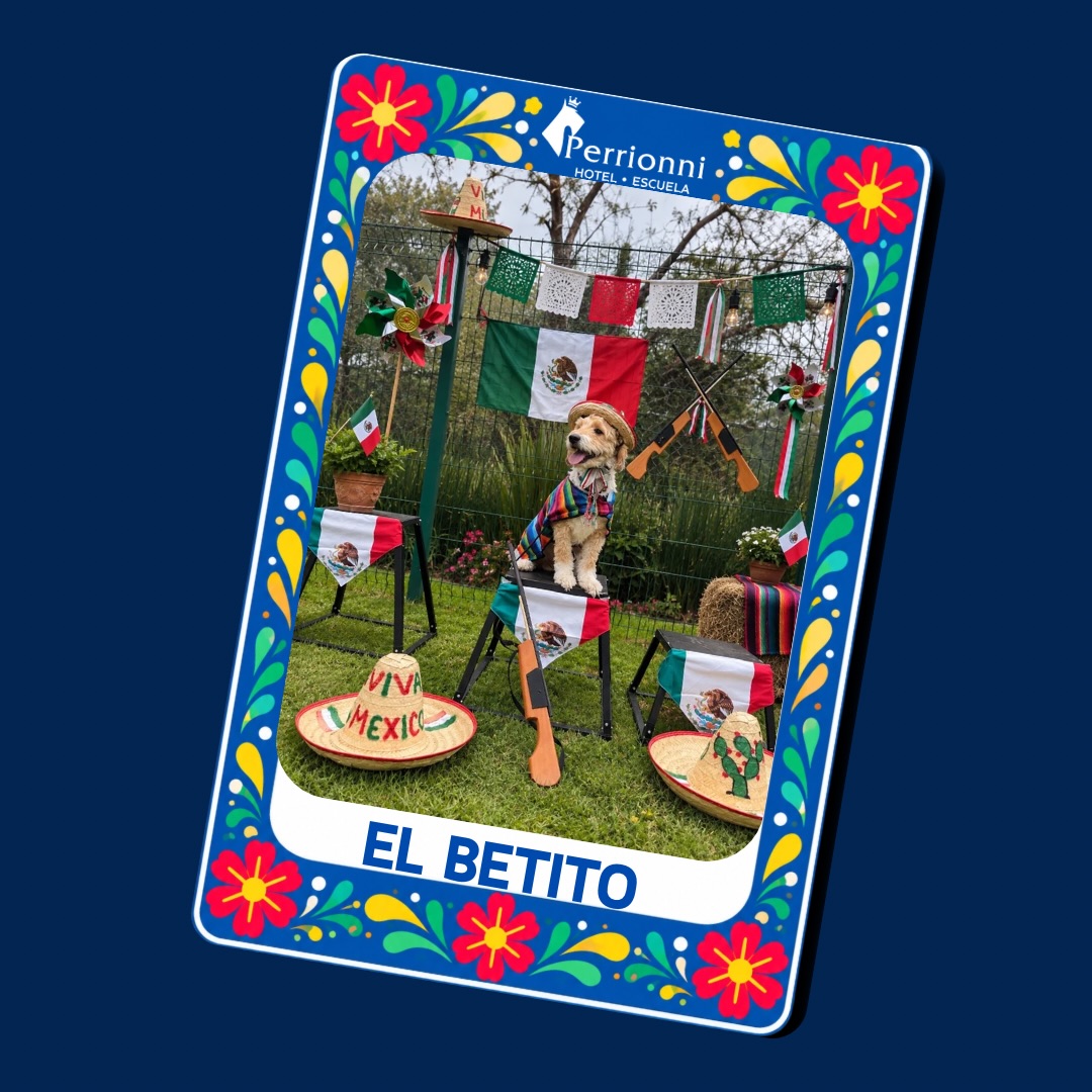 Carta EL BETITO — Lotería Perrionni