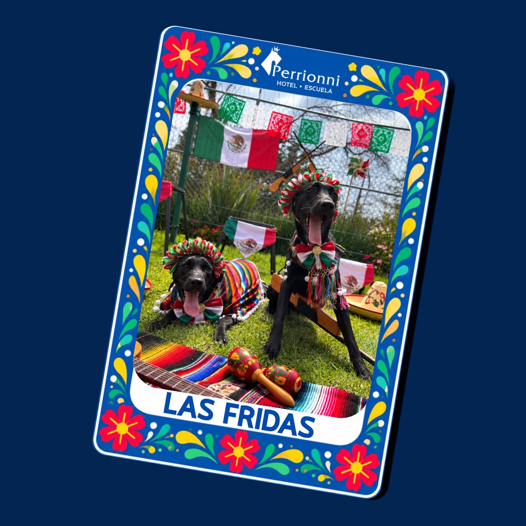 Carta LAS FRIDAS — Lotería Perrionni