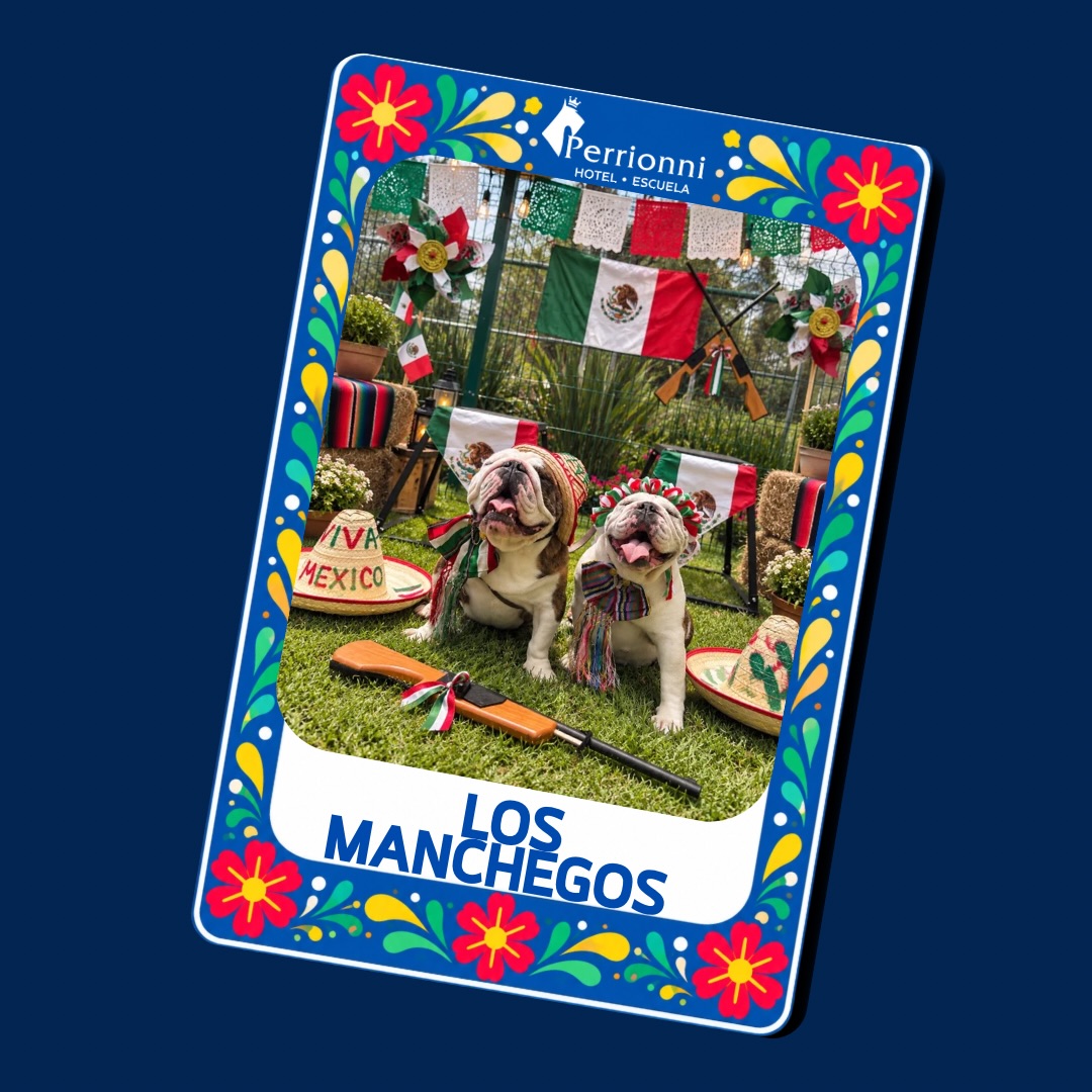 Carta LOS MANCHÉGOS — Lotería Perrionni