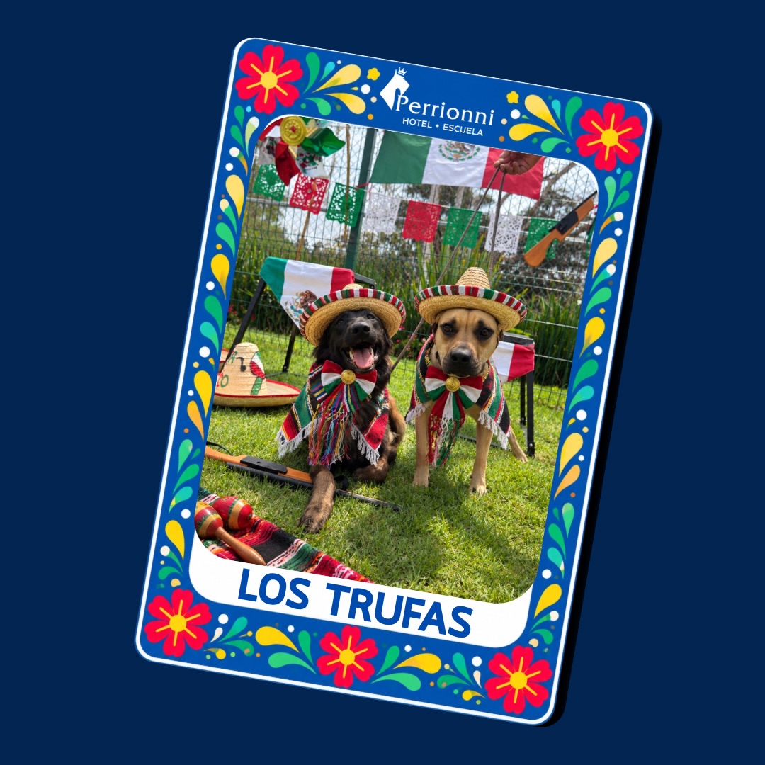 Carta LOS TRUFAS — Lotería Perrionni