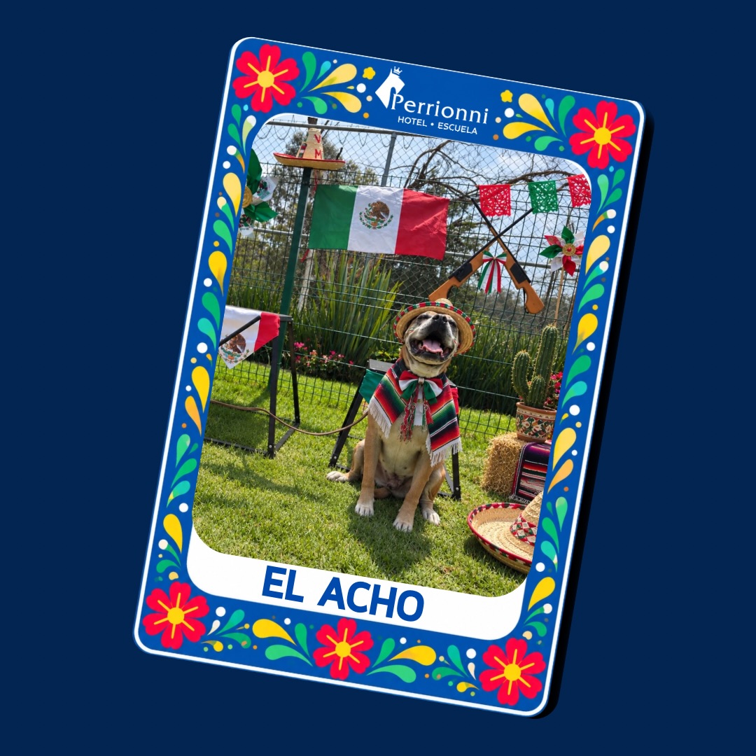 Carta EL ACHO — Lotería Perrionni