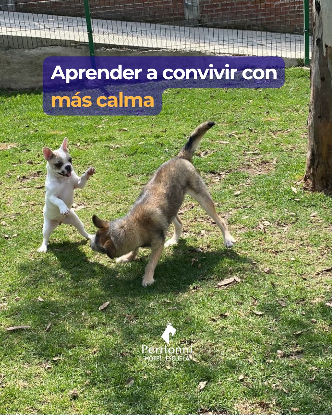 Aprender a convivir con más calma