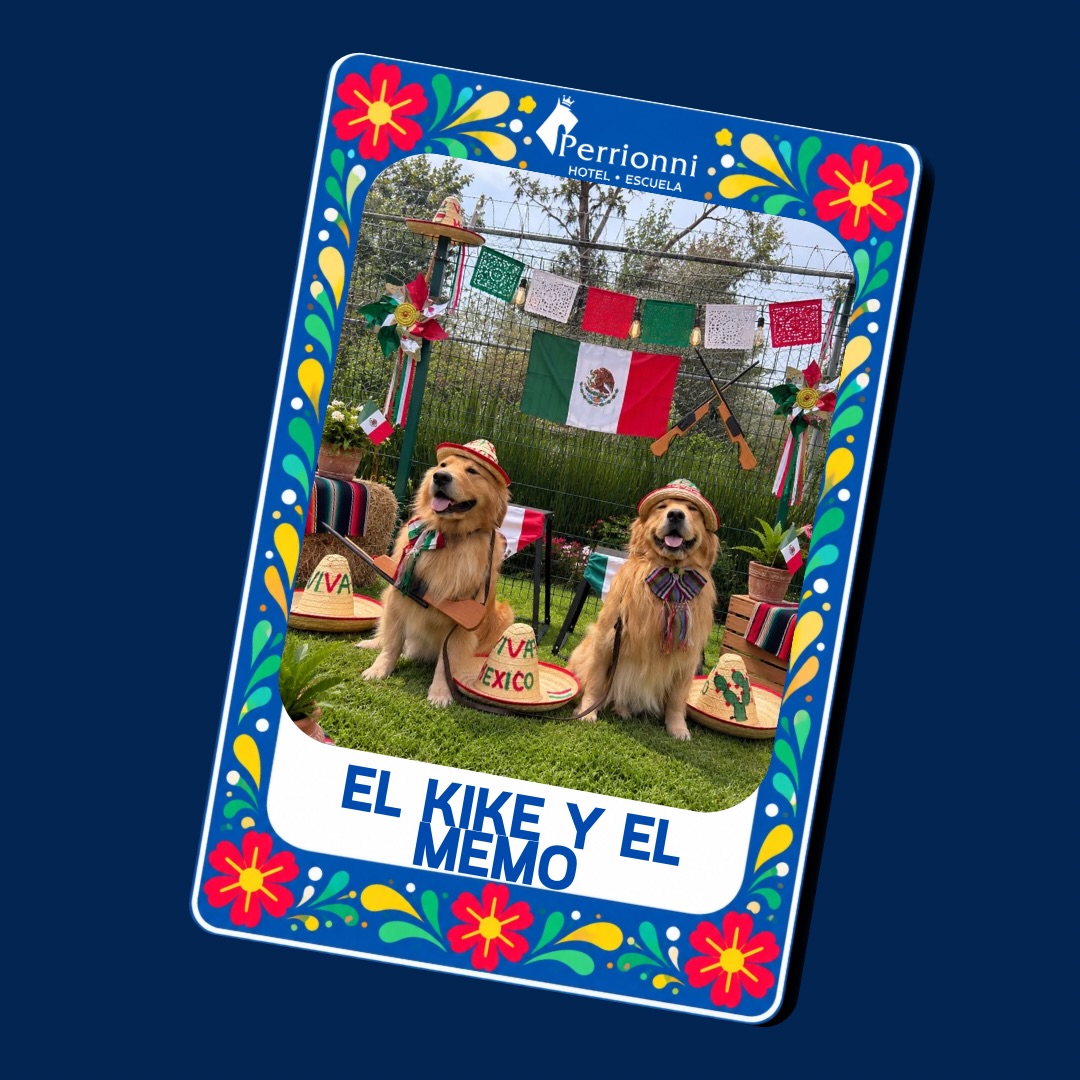 Carta EL KIKE Y EL MEMO — Lotería Perrionni