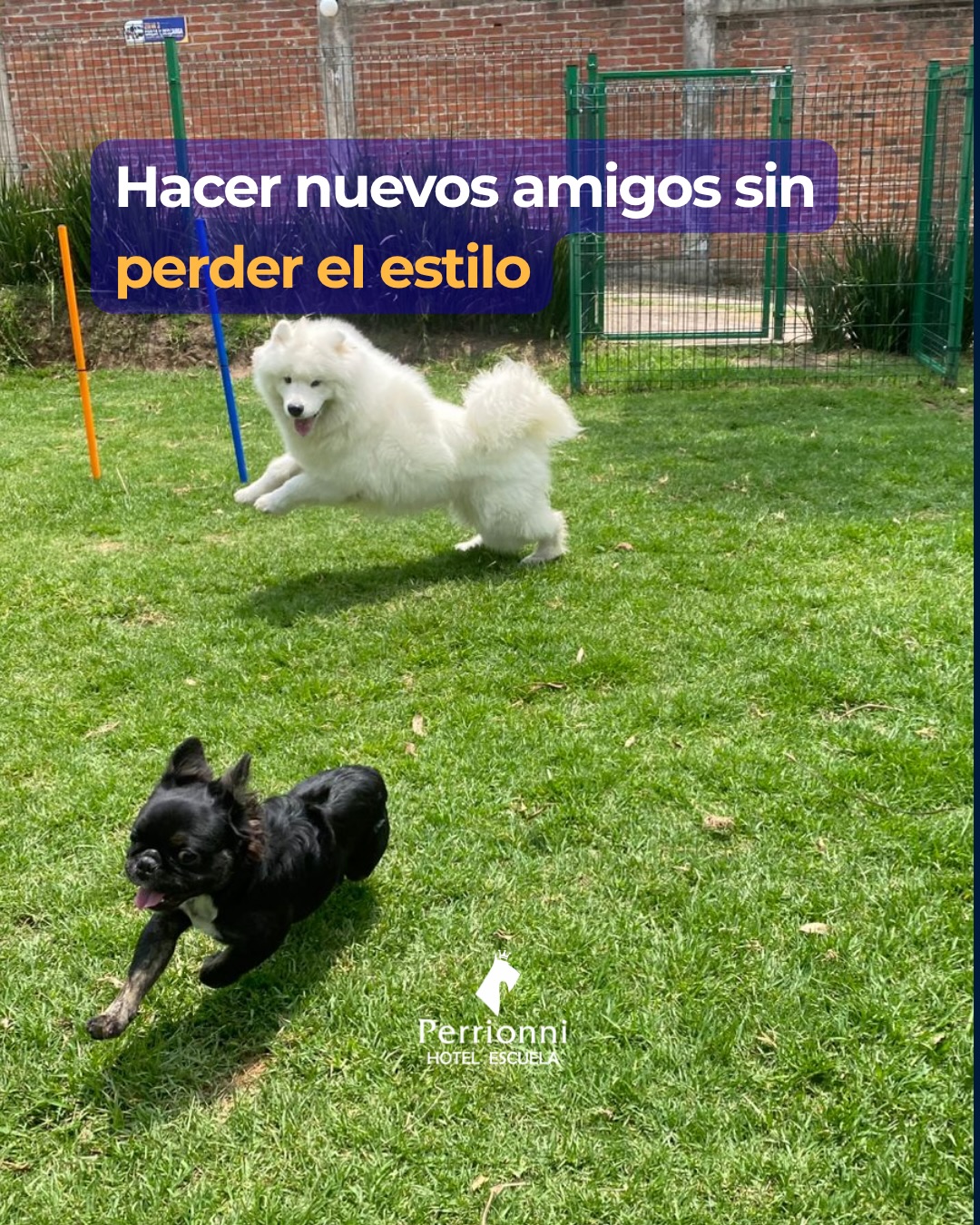 Hacer nuevos amigos sin perder el estilo