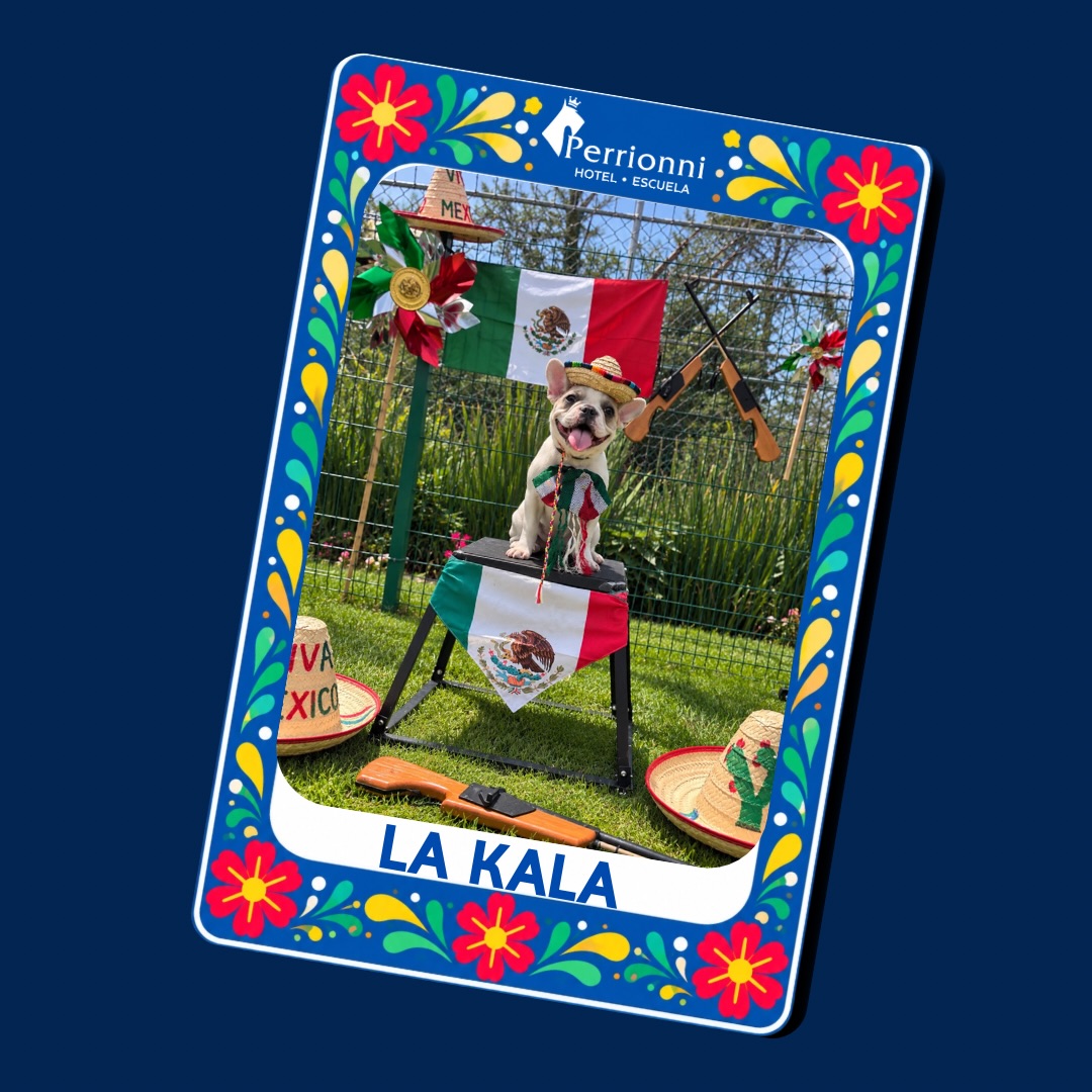 Carta LA KALA — Lotería Perrionni