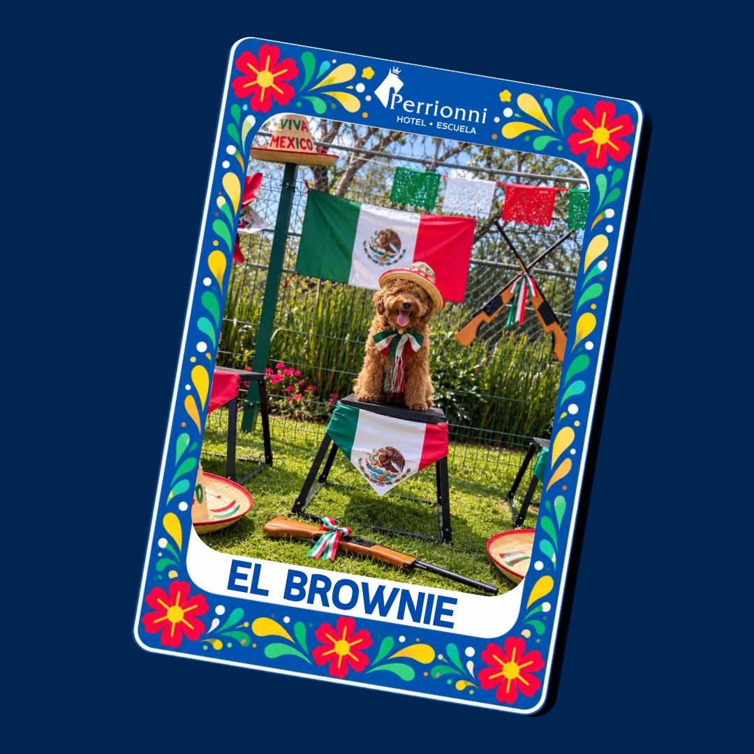 Carta EL BROWNIE — Lotería Perrionni