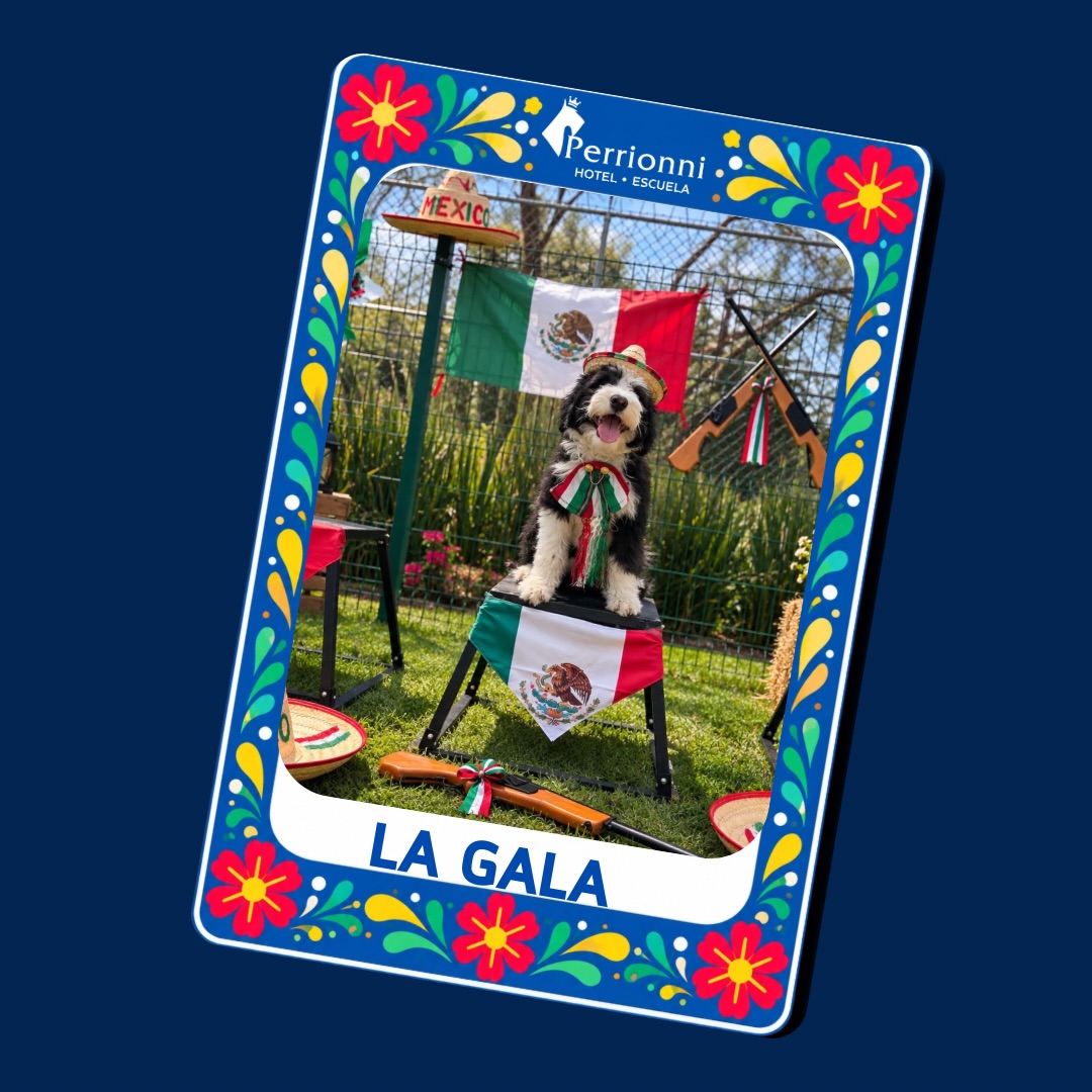 Carta LA GALA — Lotería Perrionni