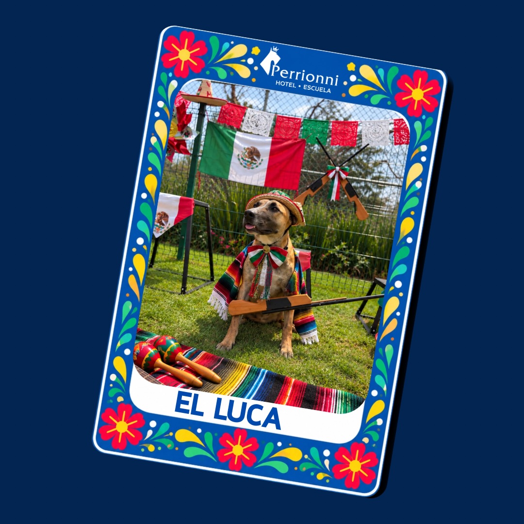 Carta EL LUCA — Lotería Perrionni