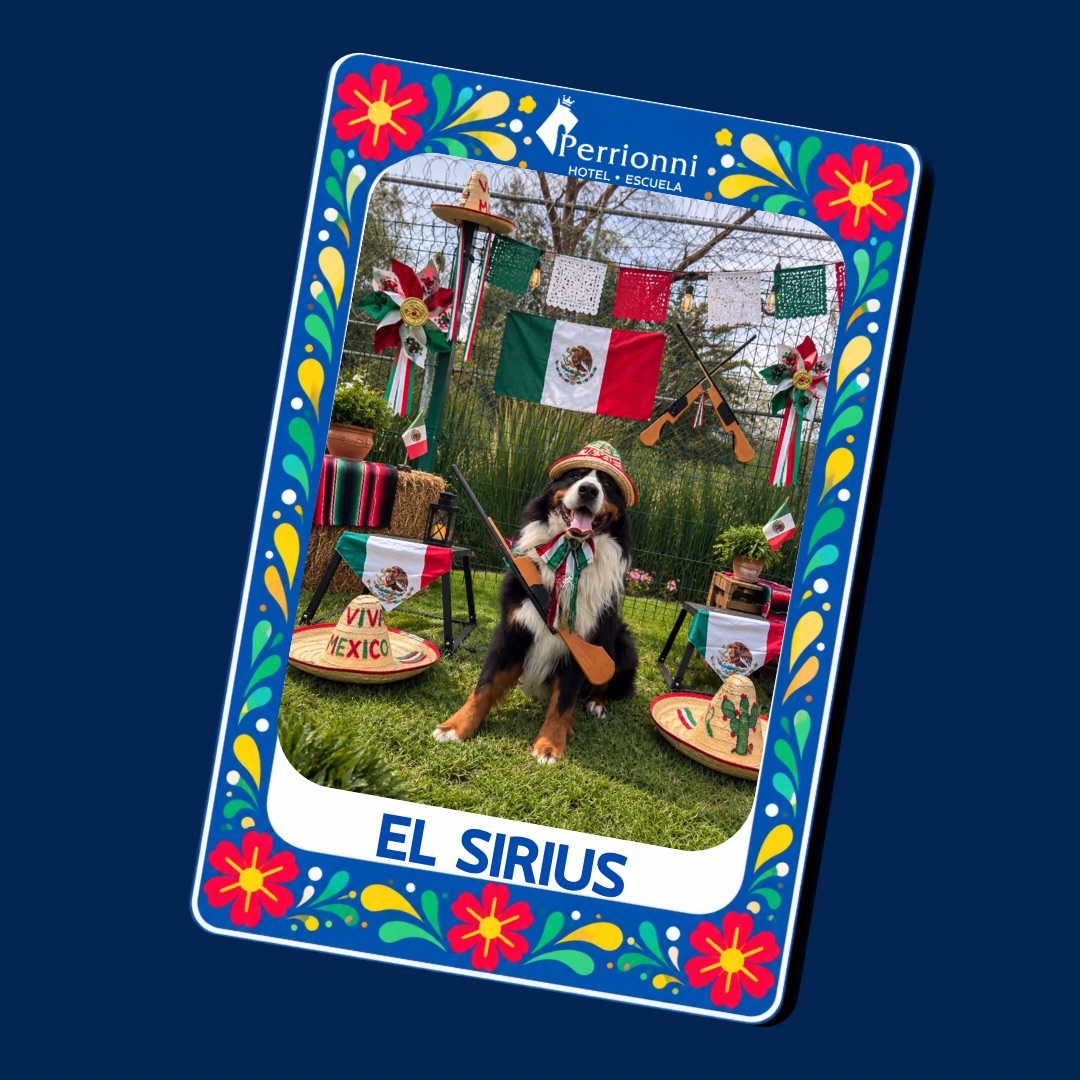 Carta EL SIRIUS — Lotería Perrionni