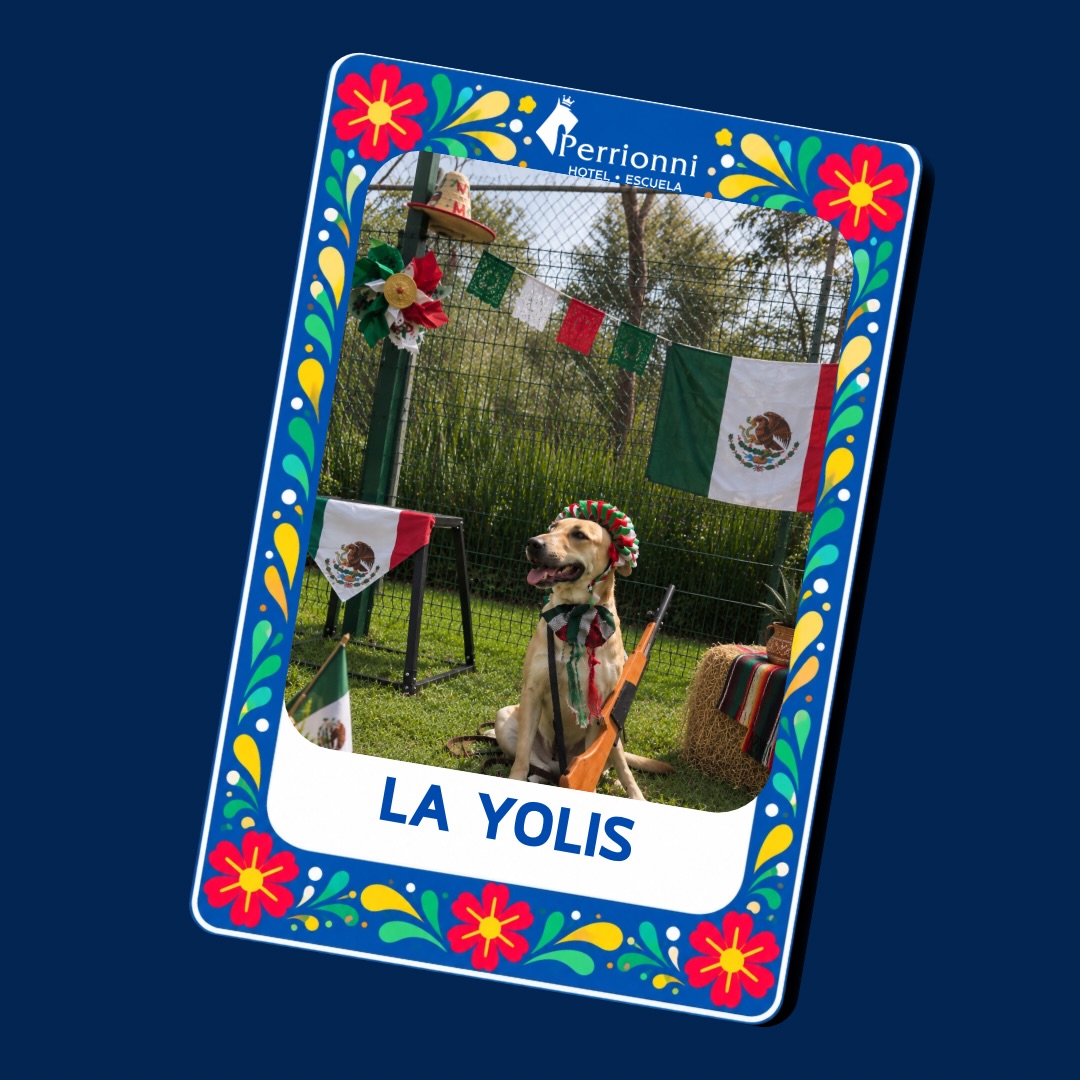 Carta LA YOLIS — Lotería Perrionni