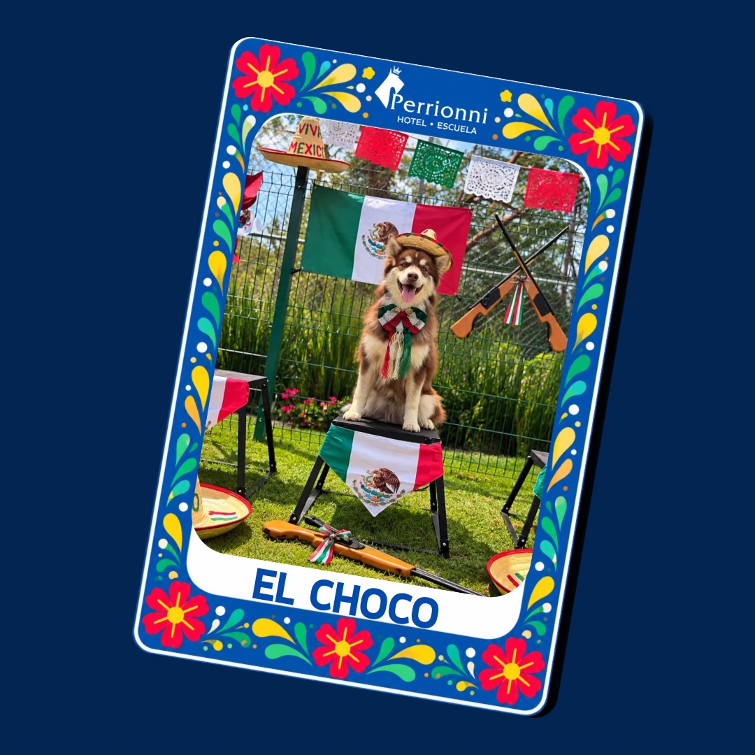 Carta EL CHOCO — Lotería Perrionni