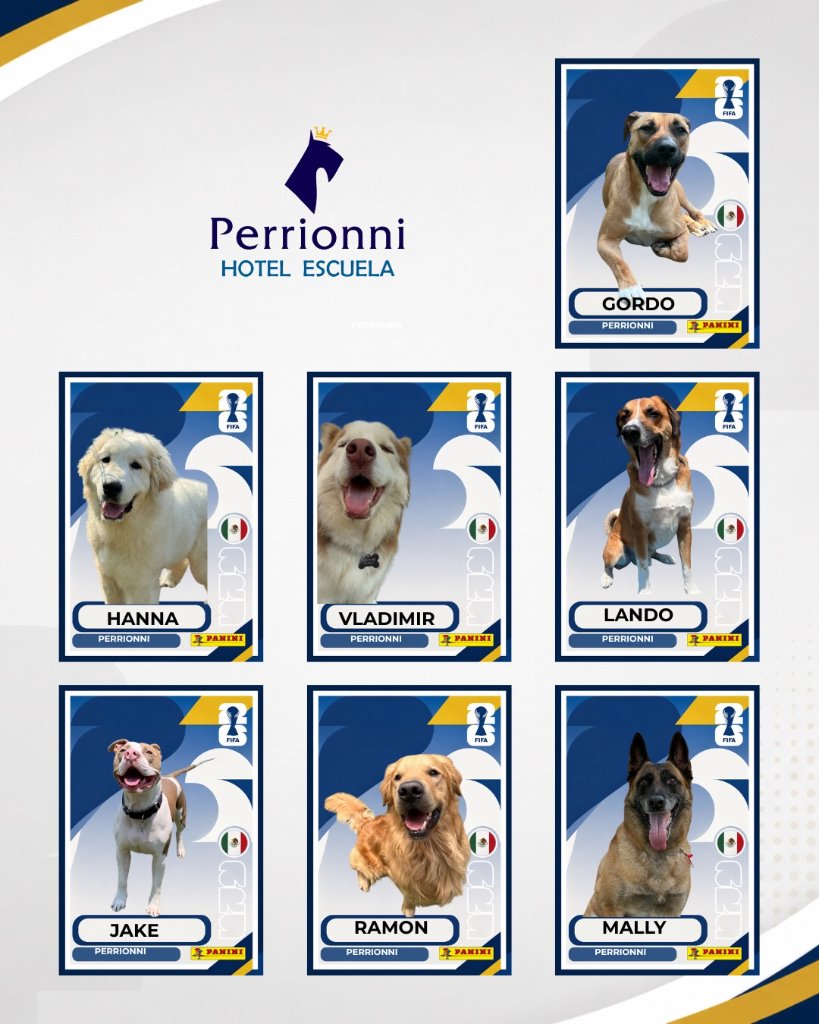 Álbum Perrionni 1