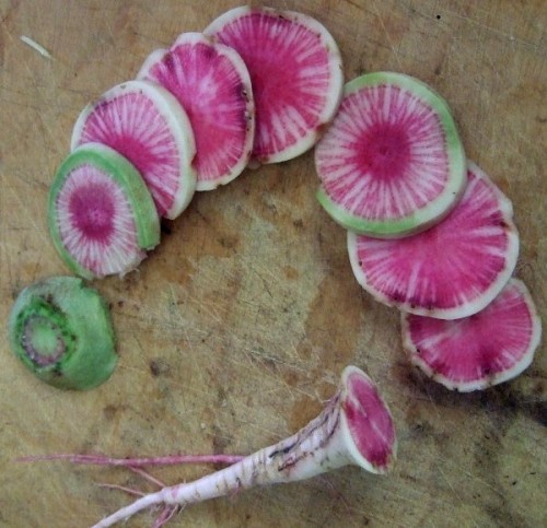 Watermelon