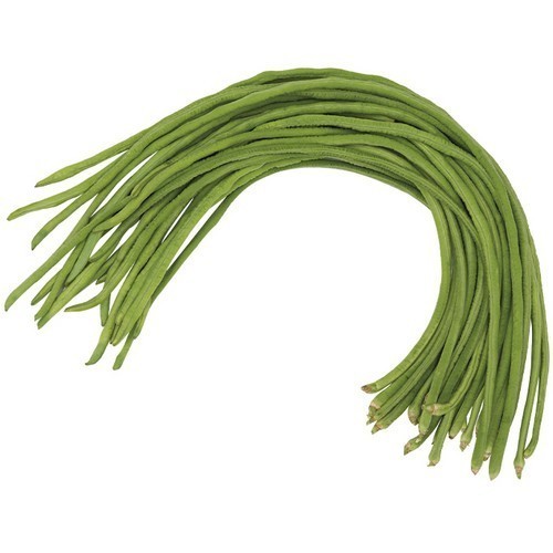 Yardlong Bean