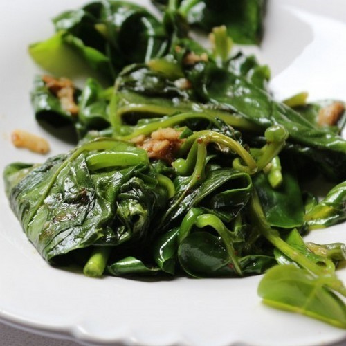 Malabar Spinach