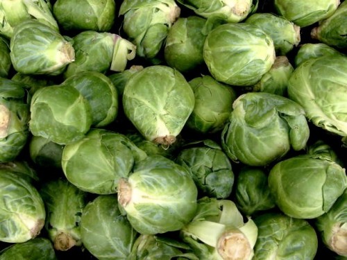 Brussels Sprouts
