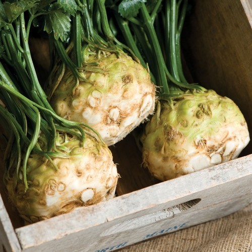 Celeriac