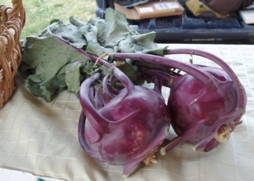 Kohlrabi
