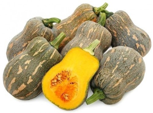 Butternut Squash