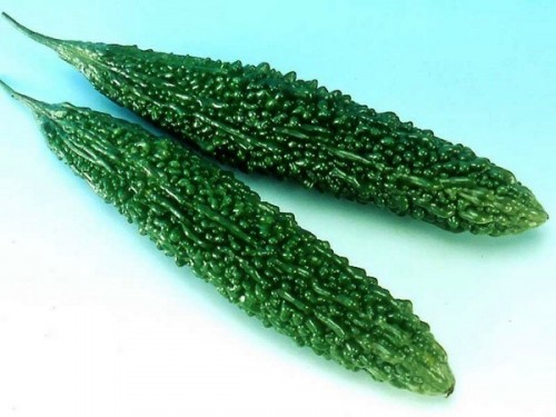 Snake Gourd