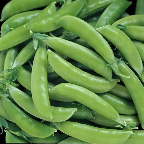 Mangetout