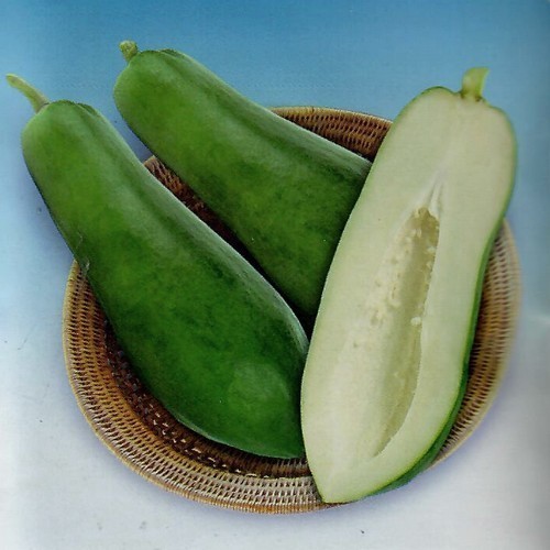 Papaya