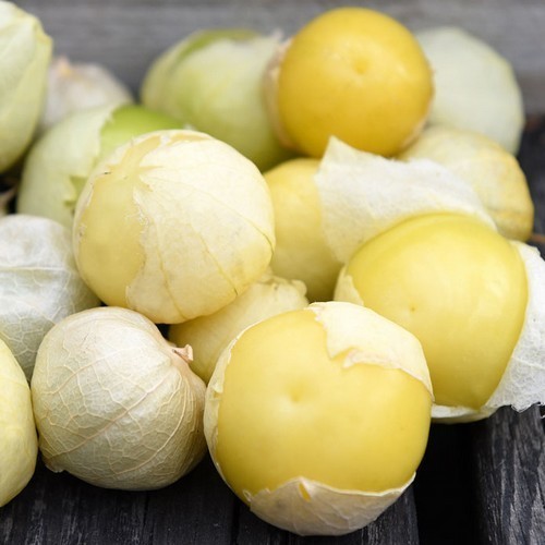 Tomatillo
