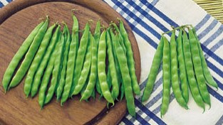 Sugar Snap Pea