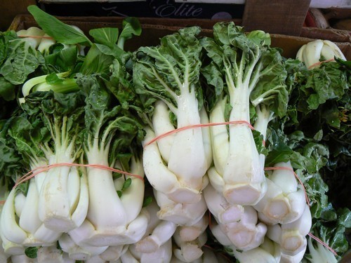 Pak Choi