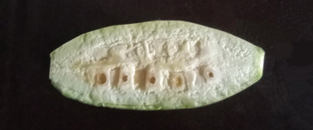 Pointed Gourd