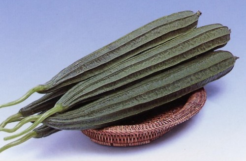 Ridge Gourd