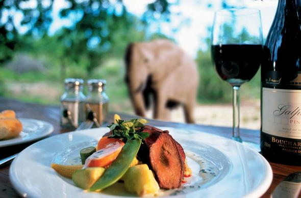 Safari dining experience