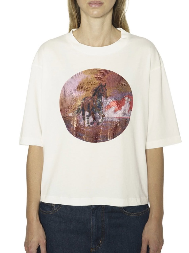 ZADIG & VOLTAIRE look 20