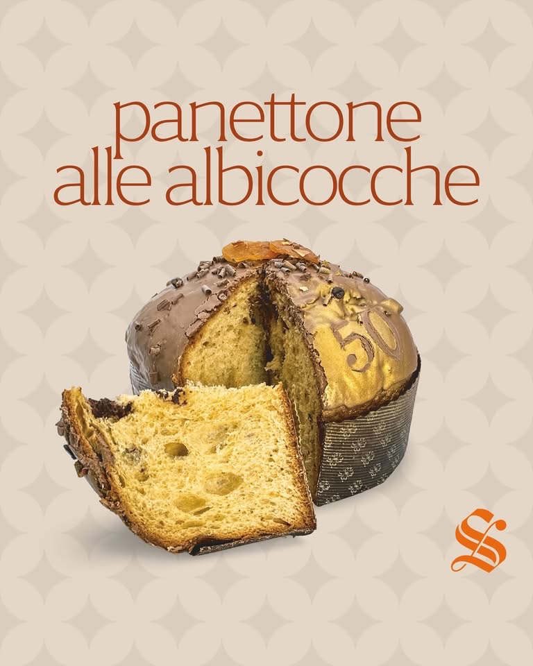 Panettone alle albicocche